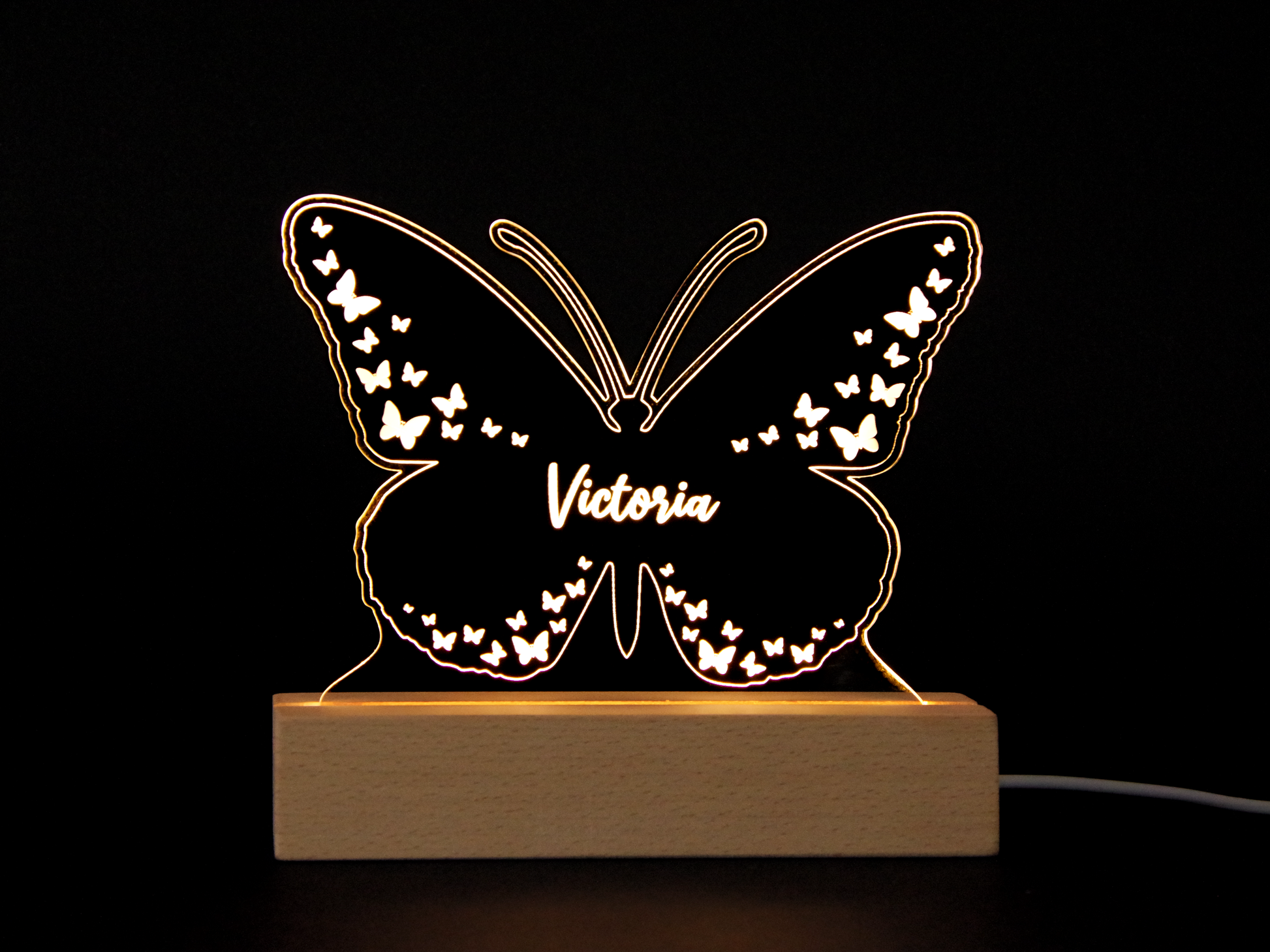 Night Light Personalized Butterfly Acrylic Light up Sign