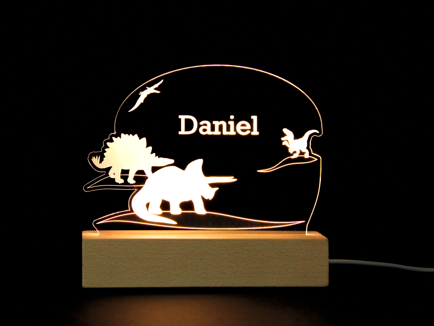 Personalized Dinosaur Acrylic Light up Sign