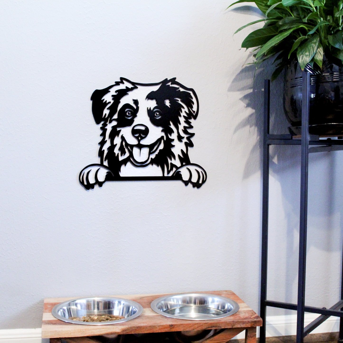 Australian Shepherd - Steel Sign