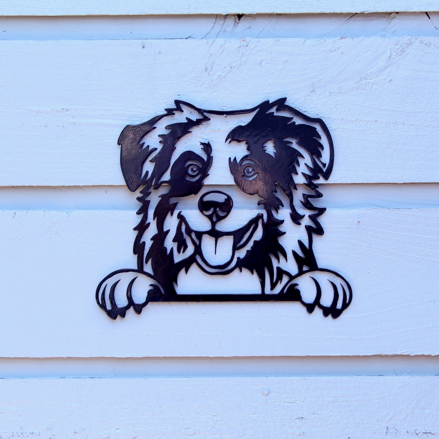 Australian Shepherd - Steel Sign